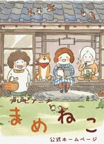 豆猫